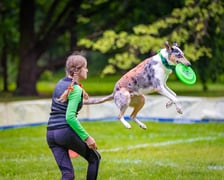 Mistrzostwa Polski Dogfrisbee 2025 - latające psy w parku Południowym