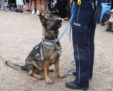 Piknik z Policją na Pergoli - 13.07.2025