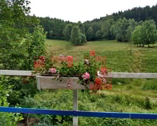 <p>Widok z mostku w Kamienicy, przystrojonego kwiatami.</p>