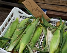 Targ na Ptasiej na wrocławskim osiedlu Nadodrze