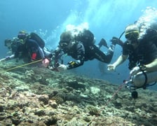 <p>3 nurk&oacute;w pod wodą</p>