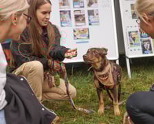 <p>Piknik Adopciaka zorganizowany przez Grupę Ratuj w parku Grabiszyńskim. Wrocław, 14.09.2025</p>