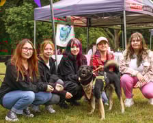 <p>Piknik Adopciaka zorganizowany przez Grupę Ratuj w parku Grabiszyńskim. Wrocław, 14.09.2025</p>