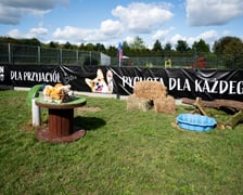 <p>TOZ Schronisko dla Bezdomnych Zwierząt – otwarcie trzech nowych wybiegów</p>