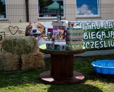 <p>TOZ Schronisko dla Bezdomnych Zwierząt – otwarcie trzech nowych wybiegów</p>