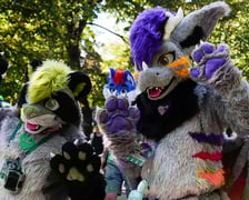 <p>Futrzaki opanowały Wrocław - marsz Furwalk 2025</p>