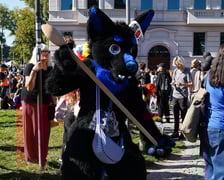 <p>Futrzaki opanowały Wrocław - marsz Furwalk 2025</p>