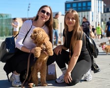 <p>VI Parada Psów Wrocławskich przeszła przez miasto w niedzielę 21 września 2025 </p>