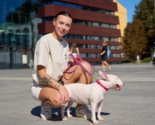 <p>VI Parada Psów Wrocławskich przeszła przez miasto w niedzielę 21 września 2025 </p>