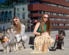 <p>VI Parada Psów Wrocławskich przeszła przez miasto w niedzielę 21 września 2025 </p>