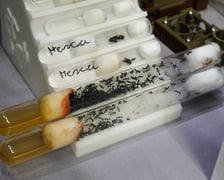 <p>Targi ZooEgzotyka w Hali Orbita w niedzielę 21 września 2025</p>