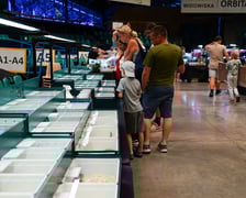 <p>Targi ZooEgzotyka w Hali Orbita w niedzielę 21 września 2025</p>