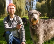 Great Global Greyhound Walk 2025 we Wrocławiu, 28.09.2025 r.