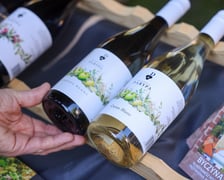 Święto sera i wina w Pawłowicach, wydarzenie Uniwersytetu Przyrodniczego we Wrocławiu