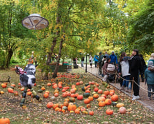 Festiwal Dyni w Ogrodzie Botanicznym 2025