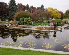 Festiwal Dyni w Ogrodzie Botanicznym 2025