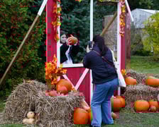 Farma Dyniowa we Wrocławiu