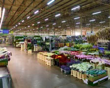 <p>Giełda Kwiatowa we Wrocławiu - oto co na niej dostaniemy</p>