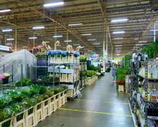 <p>Giełda Kwiatowa we Wrocławiu - oto co na niej dostaniemy</p>