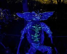 <p>Dyniowe Iluminacje w Ogrodzie Botanicznym UWr </p>