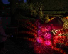 <p>Dyniowe iluminacje w Ogrodzie Botanicznym.</p>
