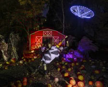 <p>Dyniowe iluminacje w Ogrodzie Botanicznym.</p>