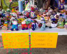 Pchli Targ w Sercu Szczepina - 19.10.2025 r.