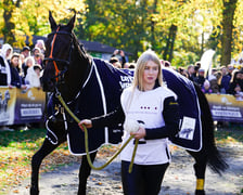 11. dzień wyścigowy: Crystal Cup i Święto Województwa Dolnośląskiego na Wrocławskim Torze Wyścigów Konnych Partynice