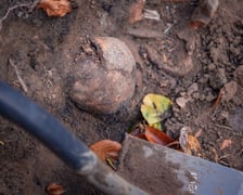 W Ogrodzie Botaniczym odznaleziono na pozostałości dawnego cmentarza
