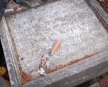 W Ogrodzie Botaniczym odznaleziono na pozostałości dawnego cmentarza