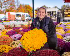 Cmentarz Osobowicki o poranku 1 listopada 2025