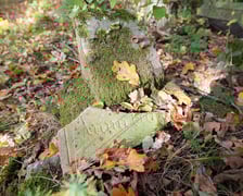 <p>Cmentarz ewangelicki w Grabownicy - w środku pola, w niewielkim zagajniku</p>