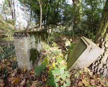 <p>Cmentarz ewangelicki w Grabownicy - w środku pola, w niewielkim zagajniku</p>