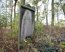 <p>Cmentarz ewangelicki w Grabownicy - w środku pola, w niewielkim zagajniku</p>