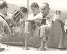 Uroczystości kościelne z udziałem kard. Bolesława Kominka