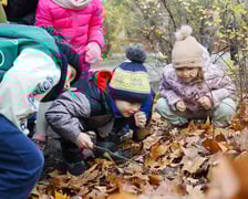 Lekcja ekologii w Przedszkolu nr 109 we Wrocławiu