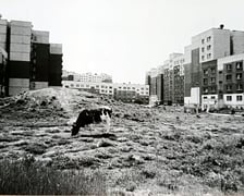 Osiedle Nowy Dwór we Wrocławiu - zdjęcia archiwalne, które będą prezentowane na wystawie "Projekt Nowy Dwór" w CK Nowy Pafawag