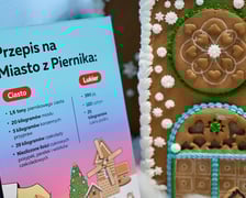 <p>Nowe Miasto z Piernika obejrzymy w Kolejkowie od 25 listopada do 28 lutego 2026</p>