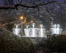 <p>Rozświetlona fontanna w Parku Węgrzynowskiego</p>