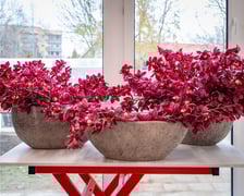 Branżowe Centrum Umiejętności w dziedzinie florystyki