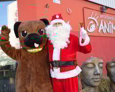 Paczki Dobrych Relacji 2025 w Animie 10 grudnia