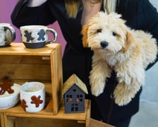 <p>Targi LOOP flea market we wrocławskich Bulvarach</p>