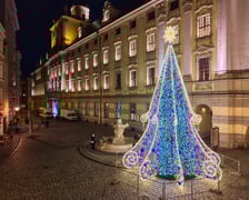 <p>Choinka rozświetla Plac Uniwersytecki</p>