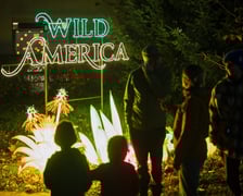 Garden of Lights "Dzika Ameryka" we Wrocławiu