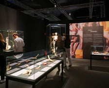 <p>Relacja z wystawy Body Worlds w IASE</p>