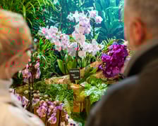 Targi na Tarczyński Arenie w 2024 roku