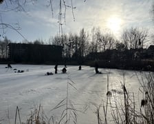 Zamarznięty staw przy ul. Głównej we Wrocławiu, 1 luty 2026 r.