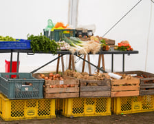 <p>Dolnośląski Targ Rolny przy ul. Zwycięskiej. Wrocław, 24.01.2026</p>