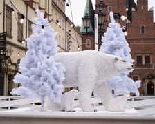 Lodowisko w Rynku, 30.01.2026