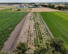 <p>Plony trafiają na stoły najmłodszych i najbardziej potrzebujących</p>